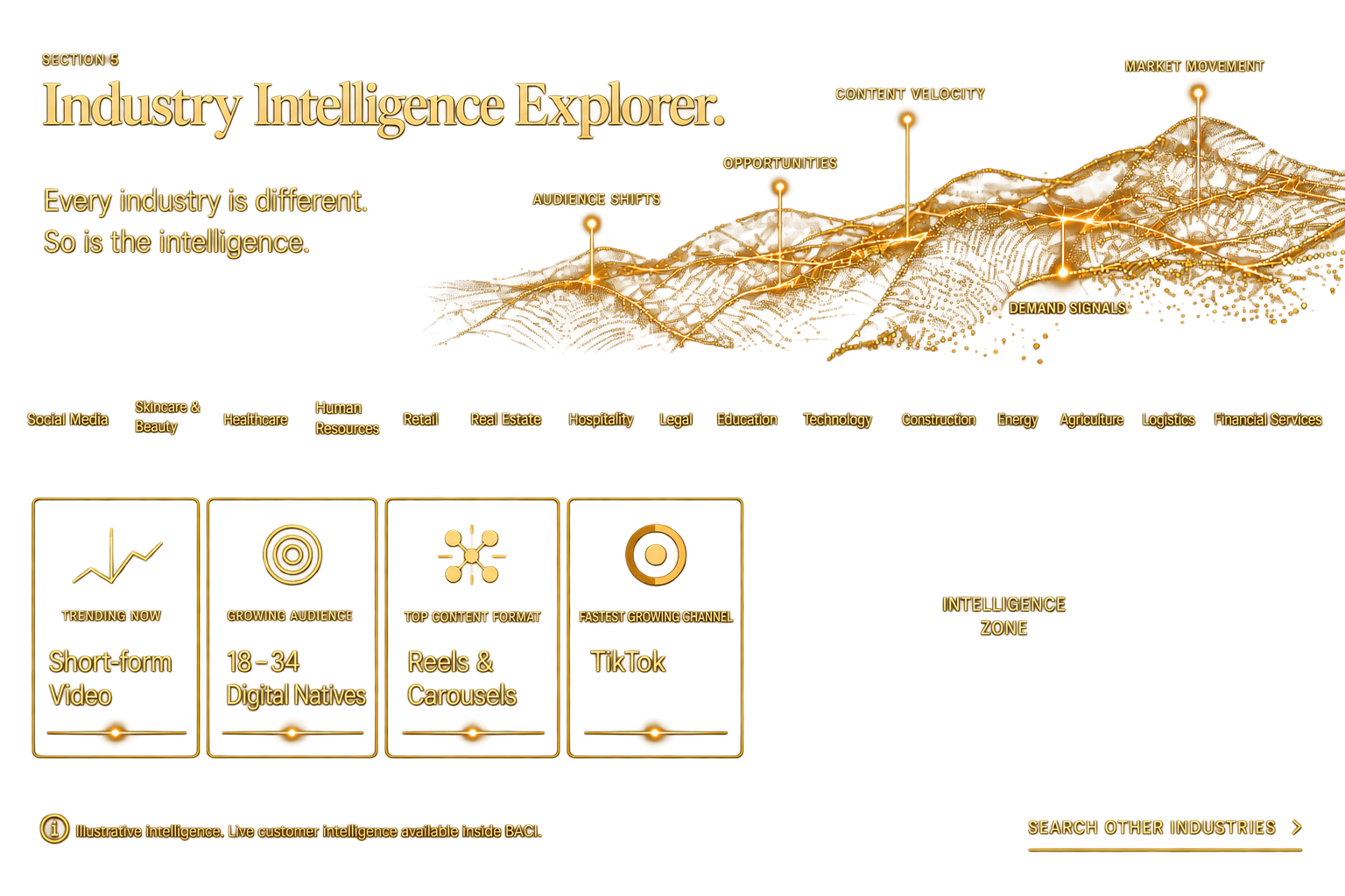 Industry Intelligence Explorer